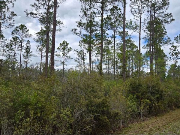 LOT10 NW NATALIE WAY, Lake City, FL 32055