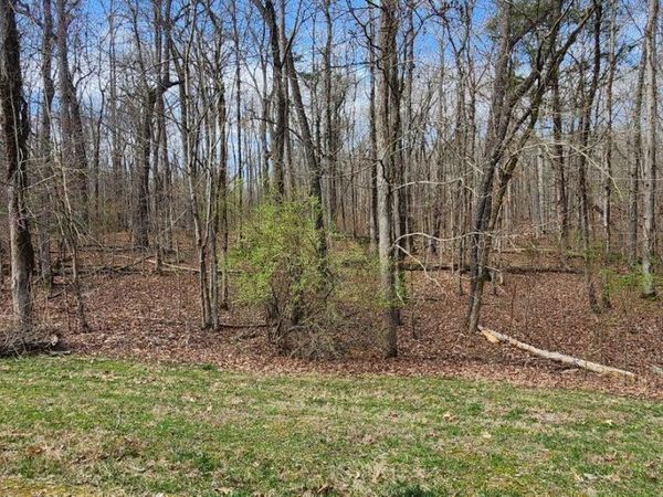 210 E Shore Drive, Rockwood, TN 37854