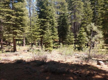 17249 Northwoods Boulevard, Truckee, CA 96161 Photo