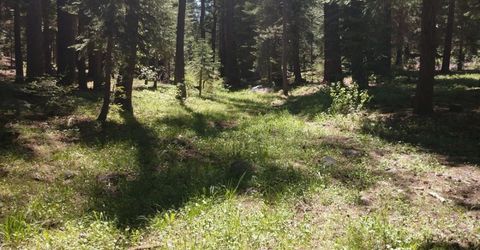 17249 Northwoods Boulevard, Truckee, CA 96161 Photo