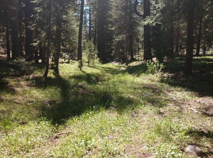 17249 Northwoods Boulevard, Truckee, CA 96161 Photo