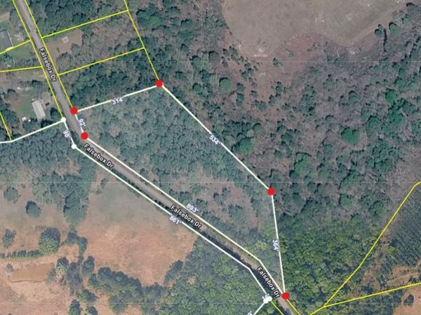 TBD Falsebox Dr. , Hemingway, SC 29554