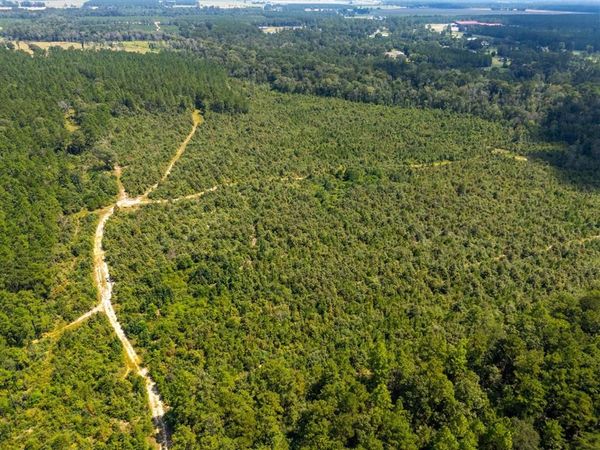 0 Paul McMillian Road, DeRidder, LA 70634