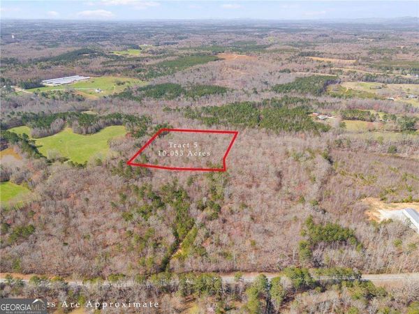 TRACT5 Georgia Highway 100, Buchanan, GA 30113
