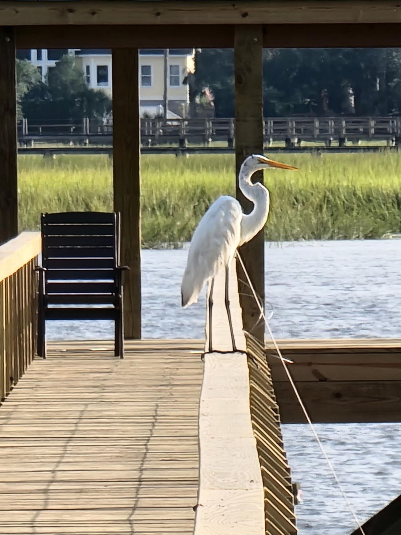 1491 W Deep Creek Overlook Photo 51