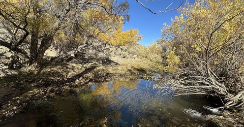 000 State Route 34, Gerlach, NV 89412 Photo