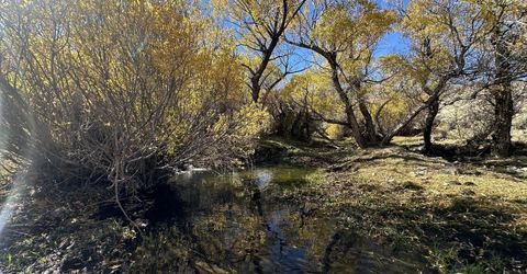 000 State Route 34, Gerlach, NV 89412 Photo