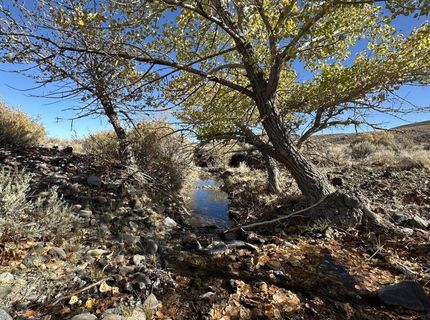 000 State Route 34, Gerlach, NV 89412 Photo