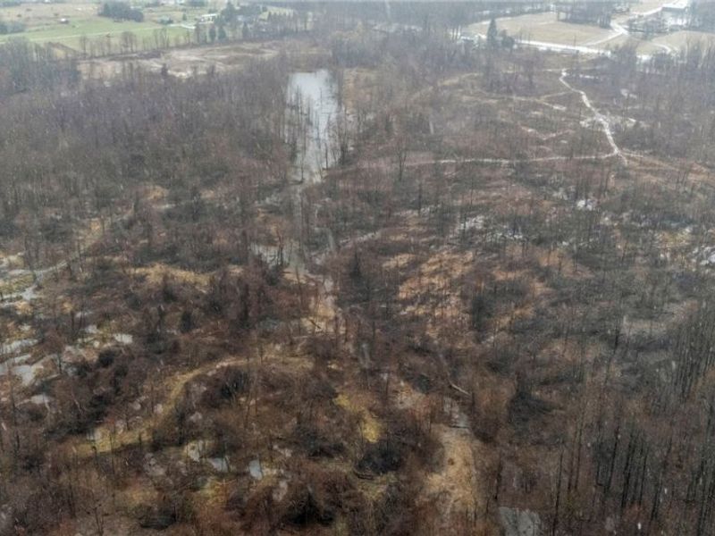 9580 & 9582 North Ridge Road, Geneva, OH 44041 Photo 8