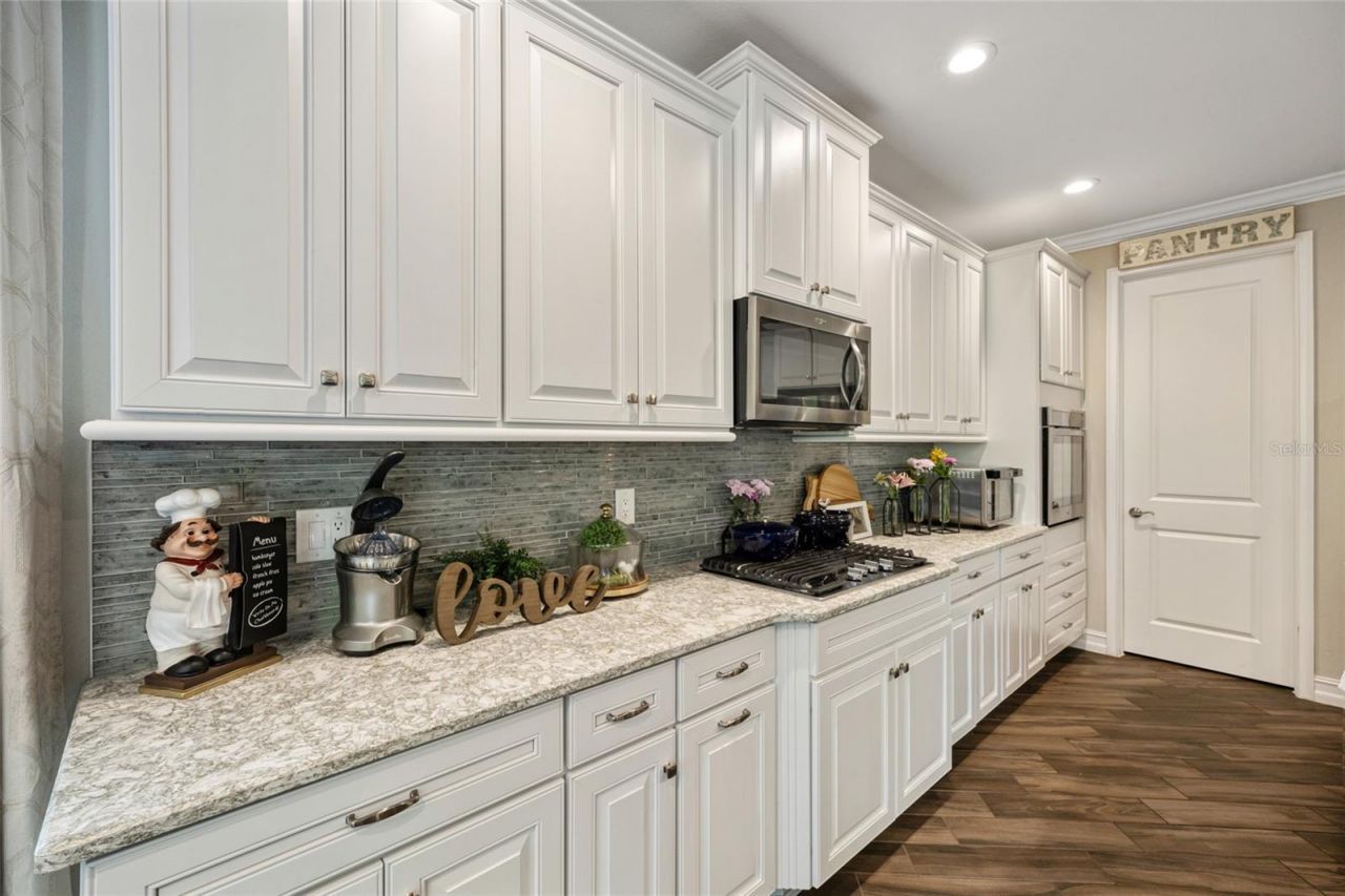 3532 Wicket Field Road, Lutz, FL 33548 Photo