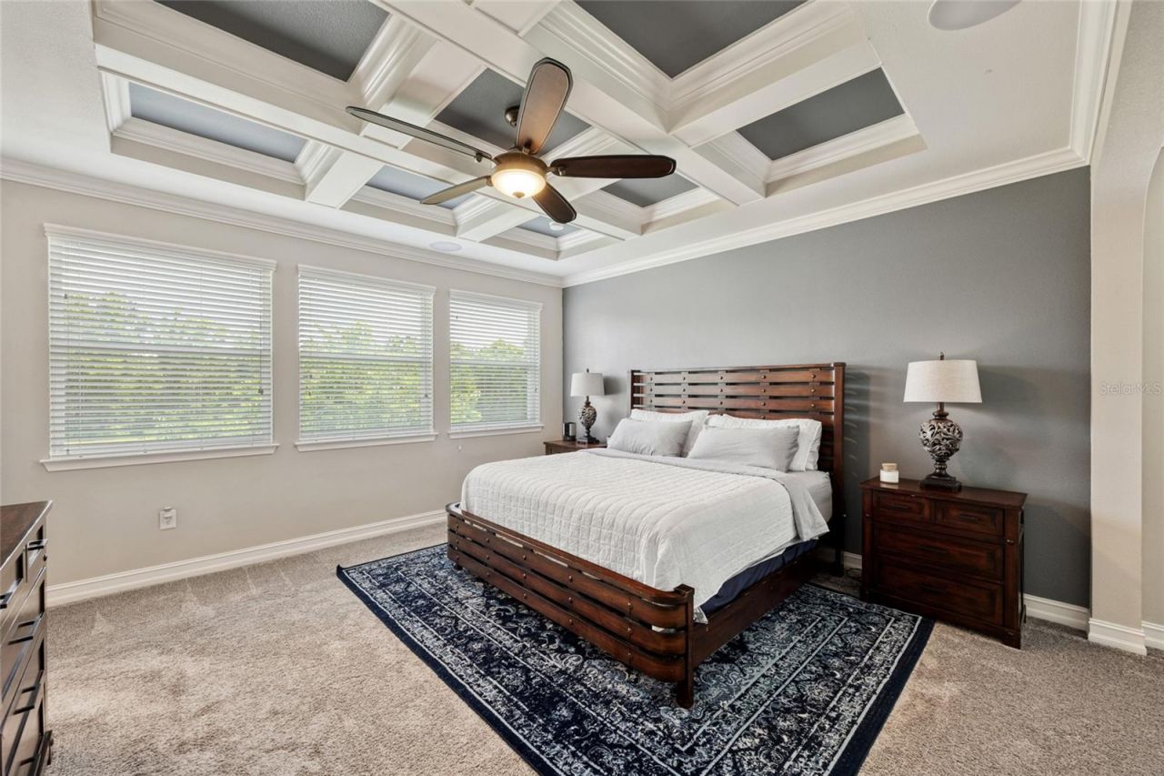 3532 Wicket Field Road, Lutz, FL 33548 Photo