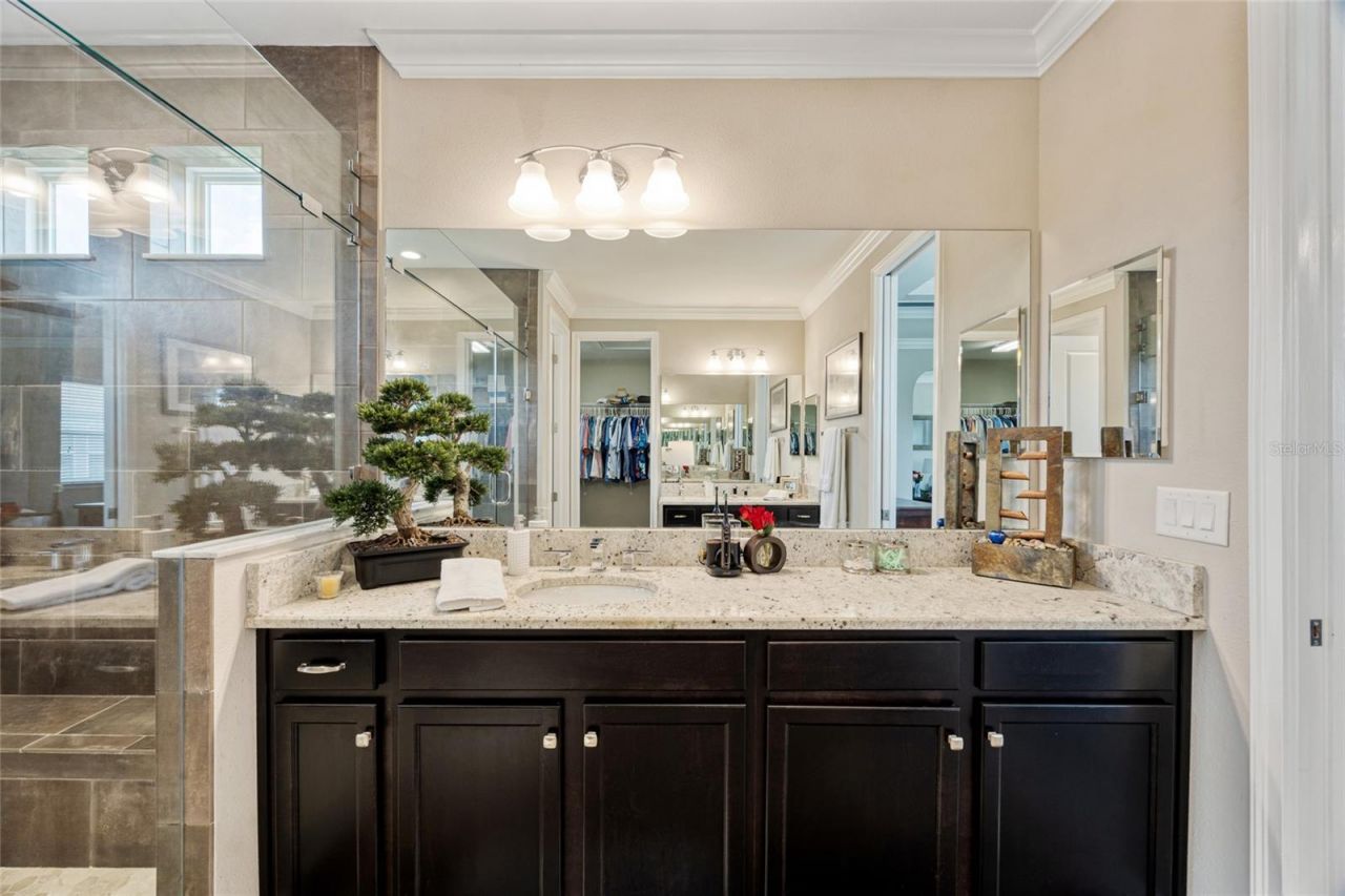 3532 Wicket Field Road, Lutz, FL 33548 Photo