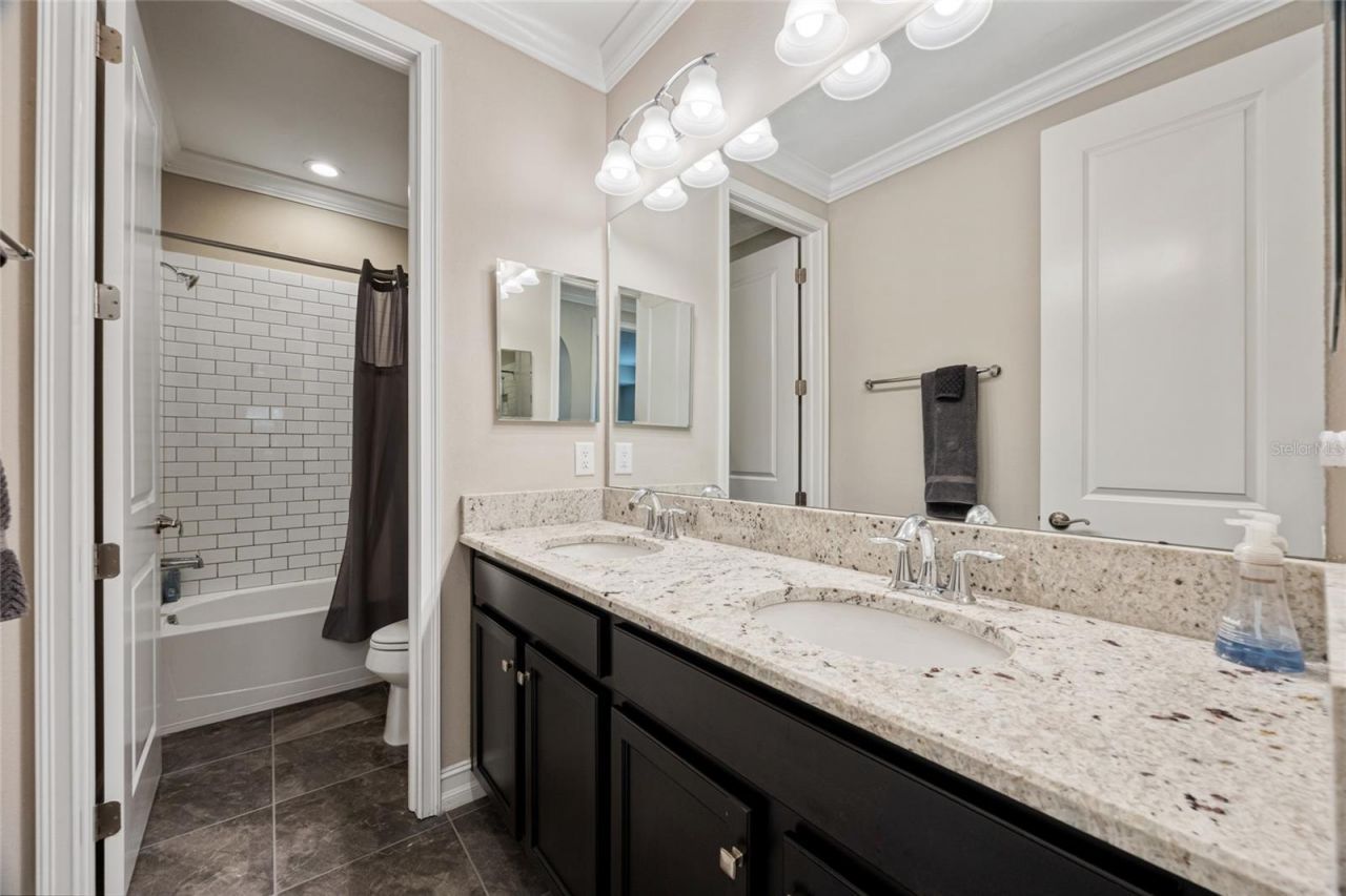 3532 Wicket Field Road, Lutz, FL 33548 Photo