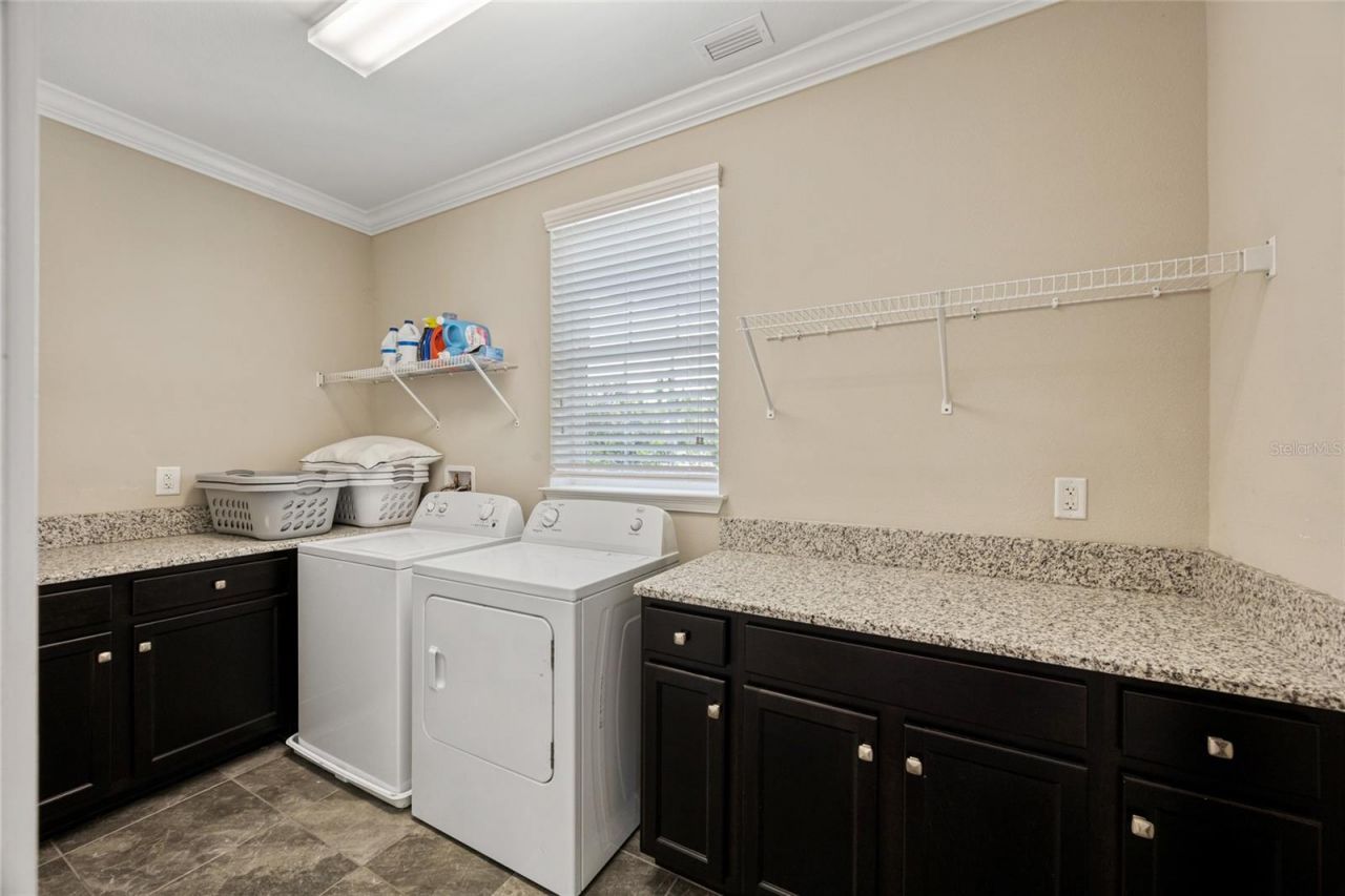 3532 Wicket Field Road, Lutz, FL 33548 Photo