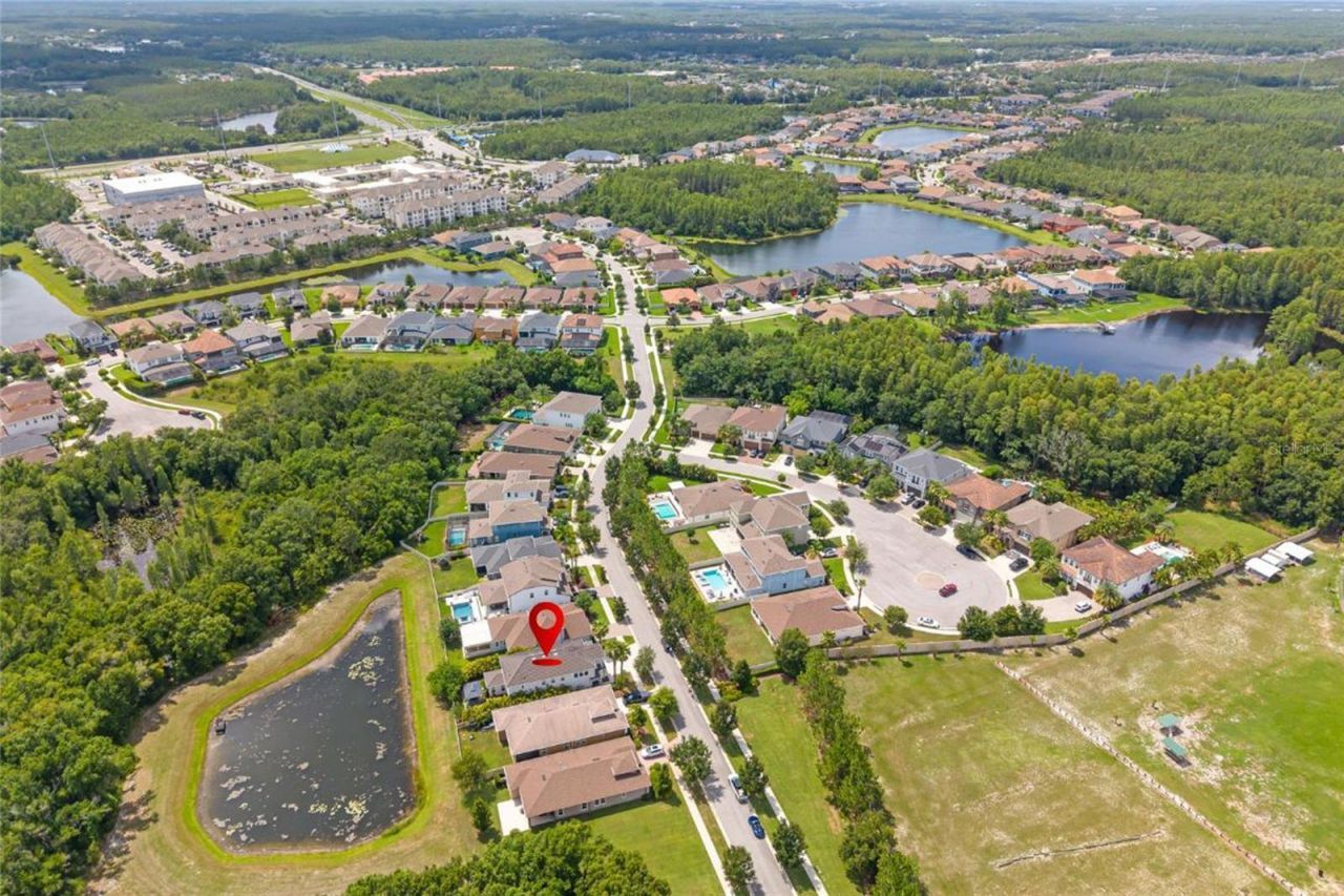 3532 Wicket Field Road, Lutz, FL 33548 Photo