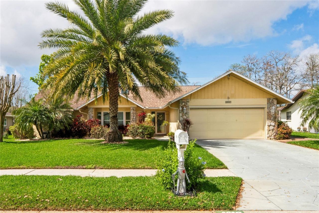 3817 Erin Brook Drive, New Port Richey, FL 34655 Main Photo