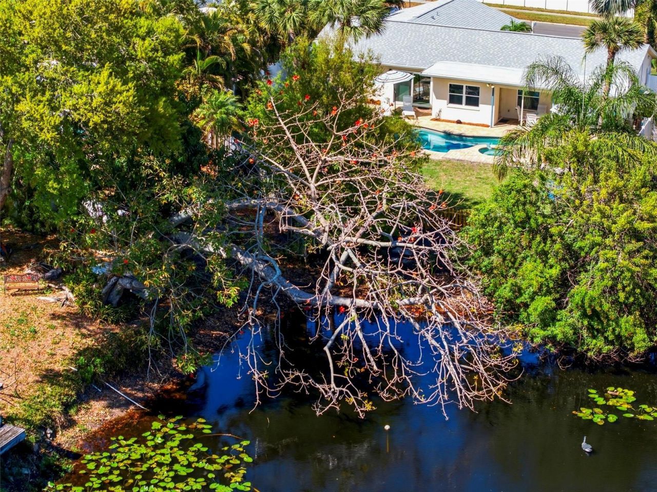 11932 99th Avenue, Seminole, FL 33772 Photo