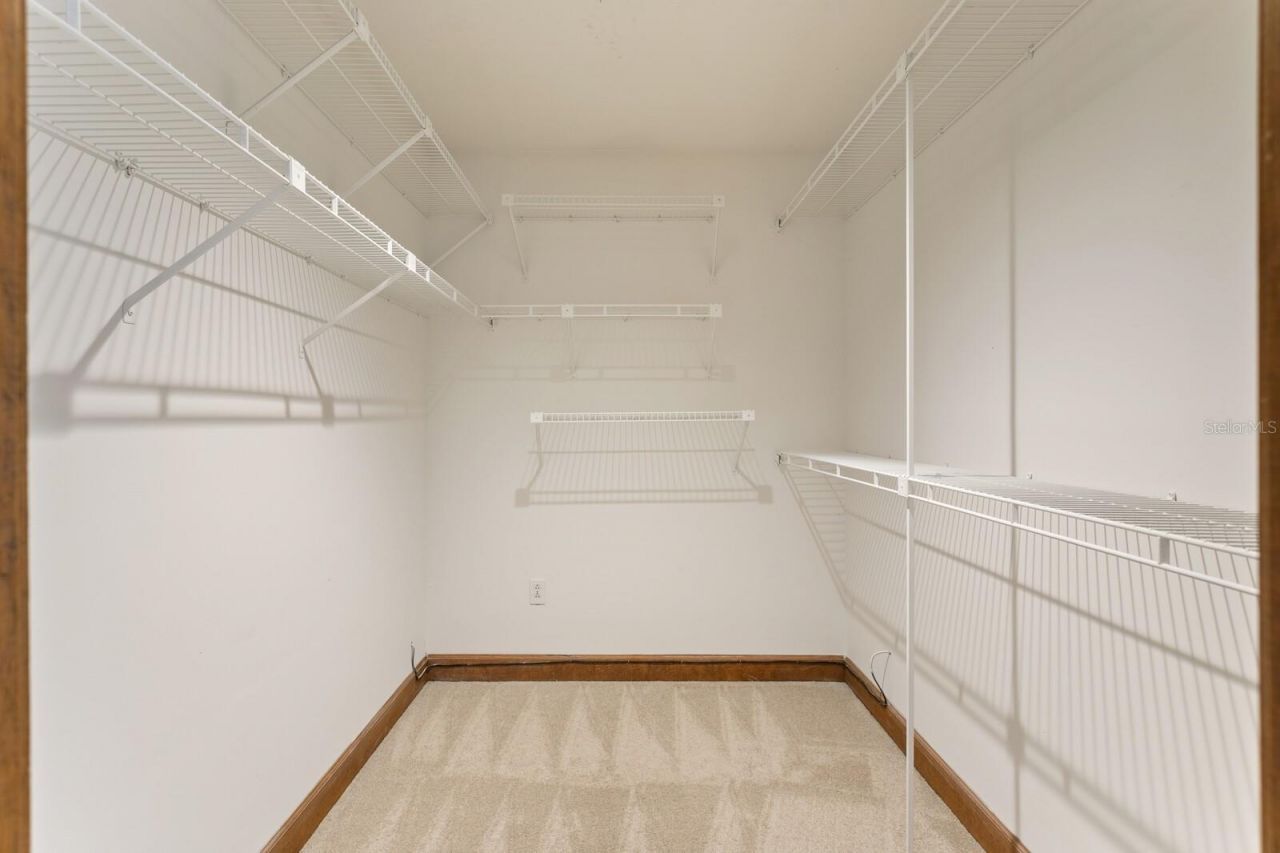 6404 Josephine Arbor Place, Temple Terrace, FL 33617 Photo