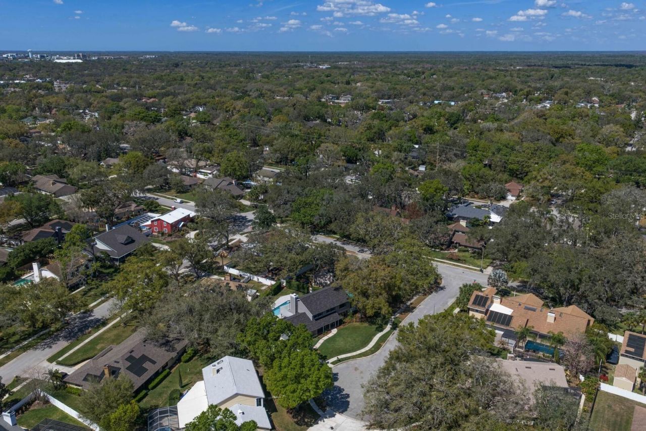 6404 Josephine Arbor Place, Temple Terrace, FL 33617 Photo