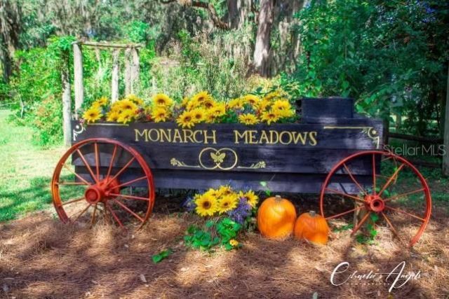 15300 Lake Iola Road, Dade City, FL 33523 Photo