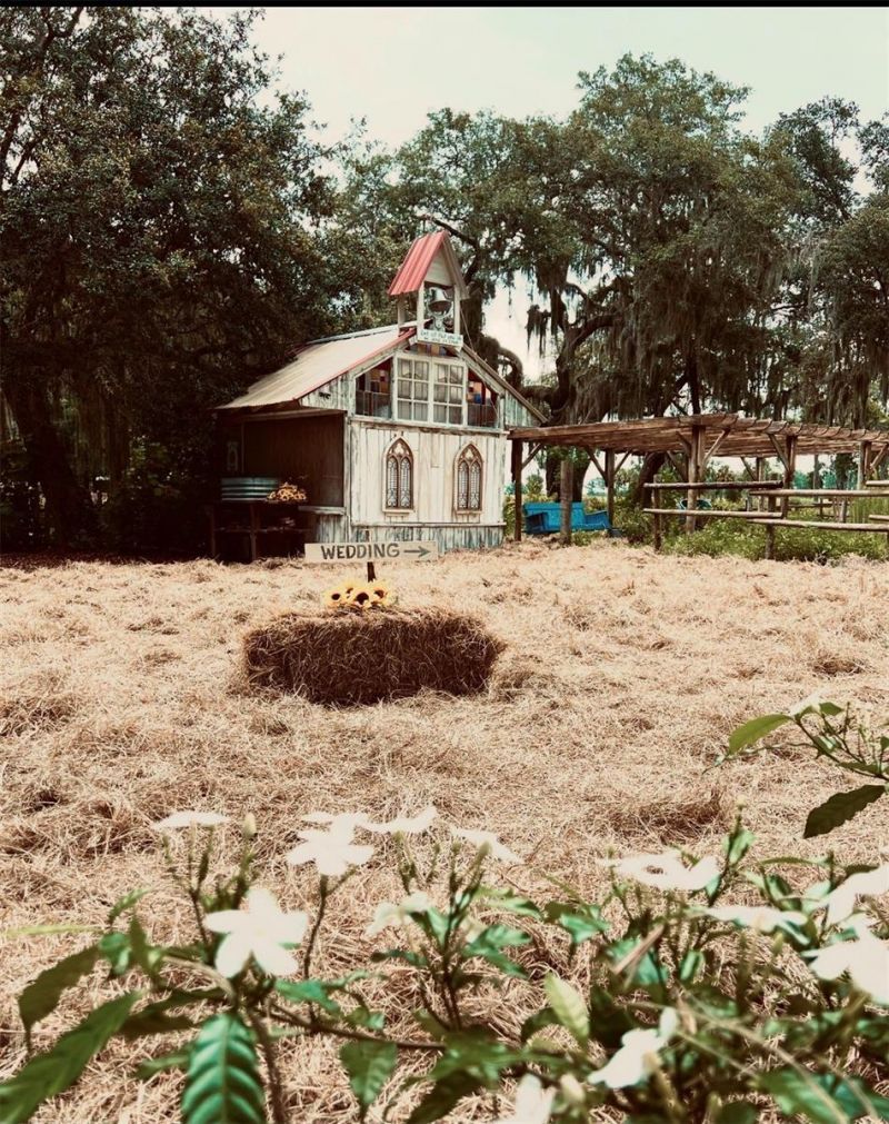 15300 Lake Iola Road, Dade City, FL 33523 Photo