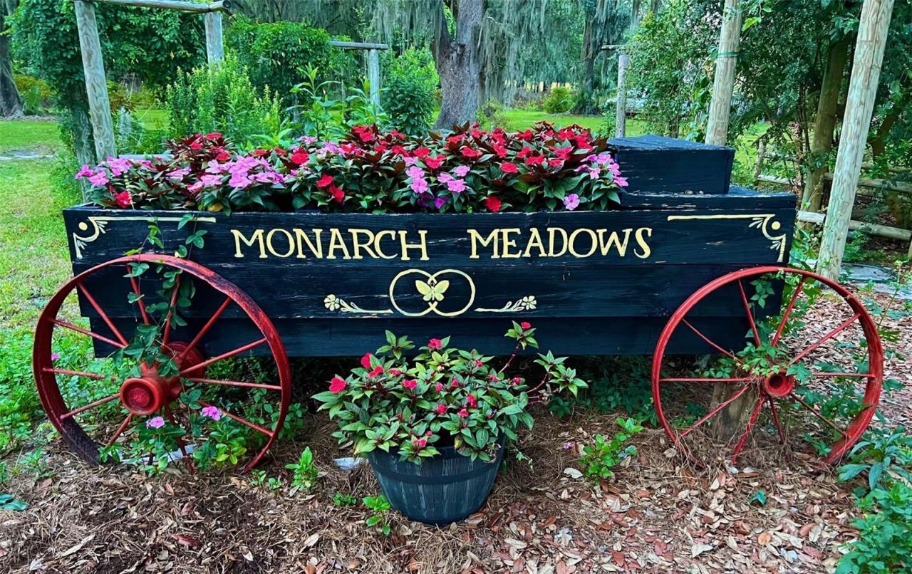 15300 Lake Iola Road, Dade City, FL 33523 Photo