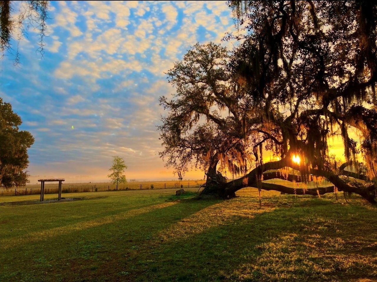 15300 Lake Iola Road, Dade City, FL 33523 Photo