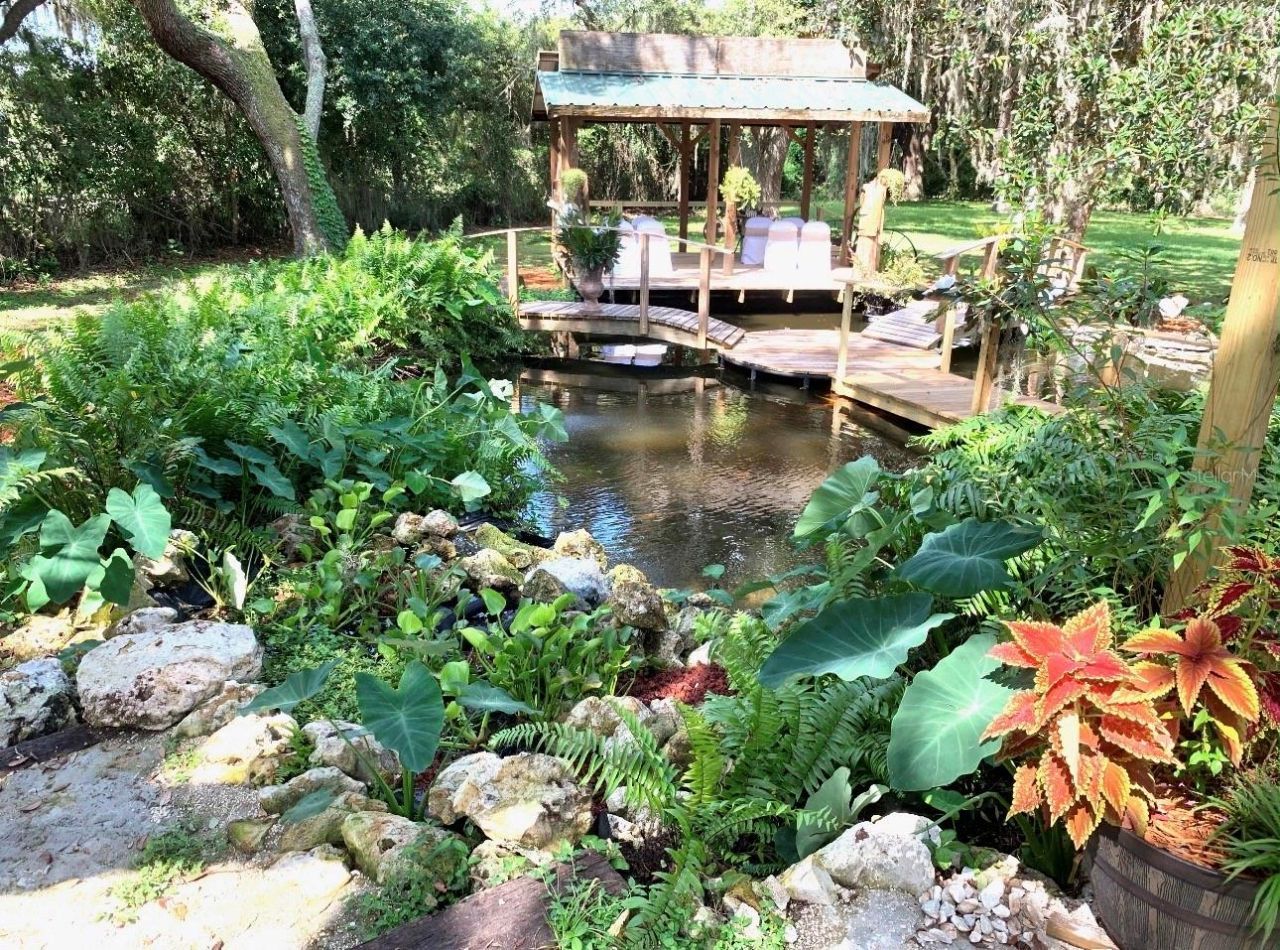 15300 Lake Iola Road, Dade City, FL 33523 Photo