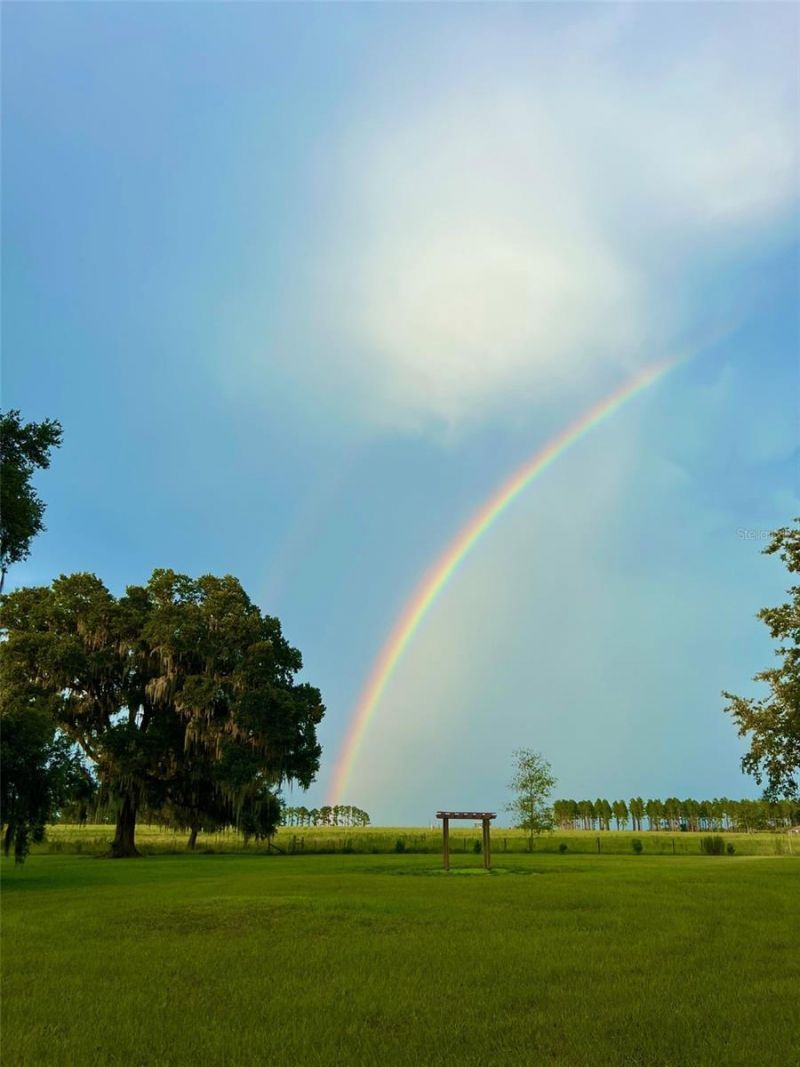 15300 Lake Iola Road, Dade City, FL 33523 Photo