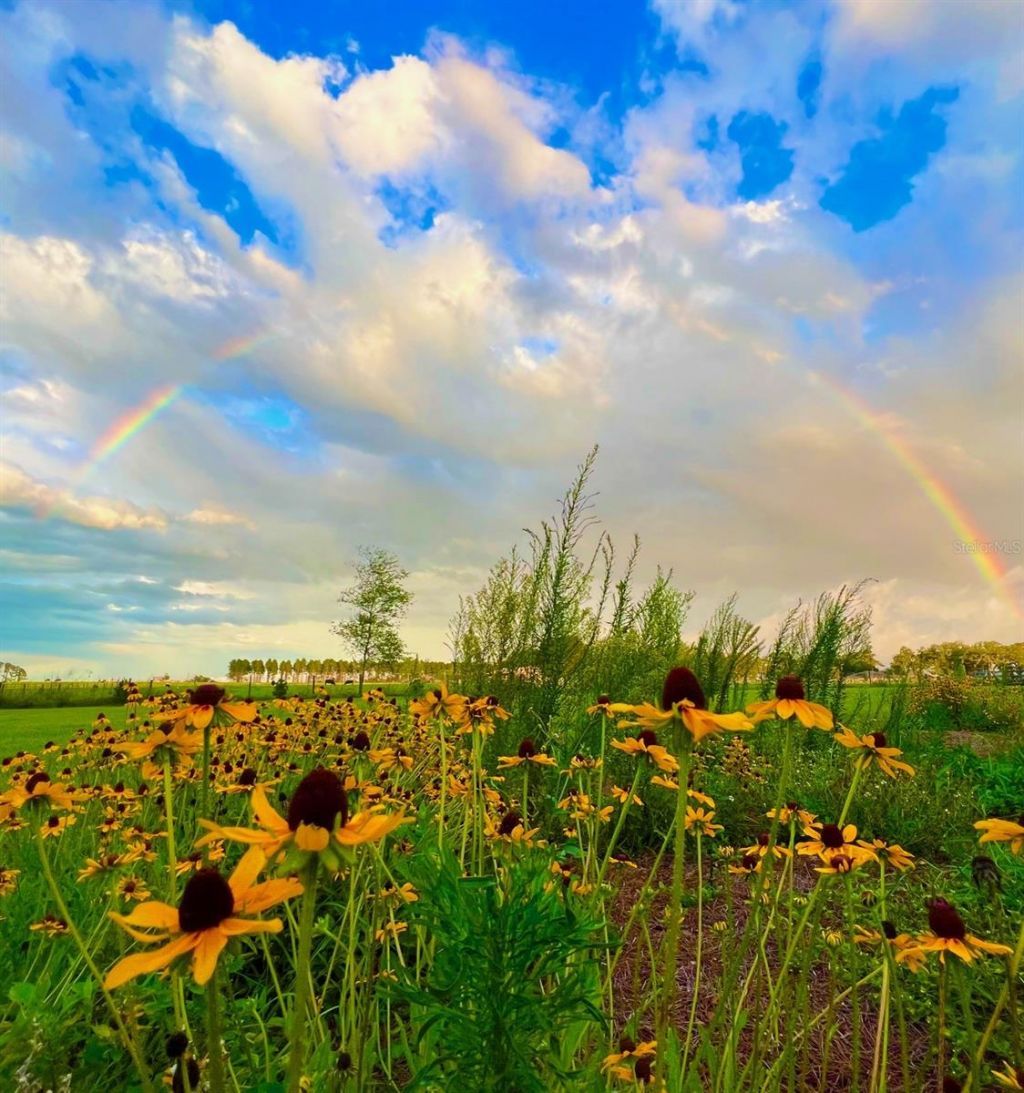 15300 Lake Iola Road, Dade City, FL 33523 Photo