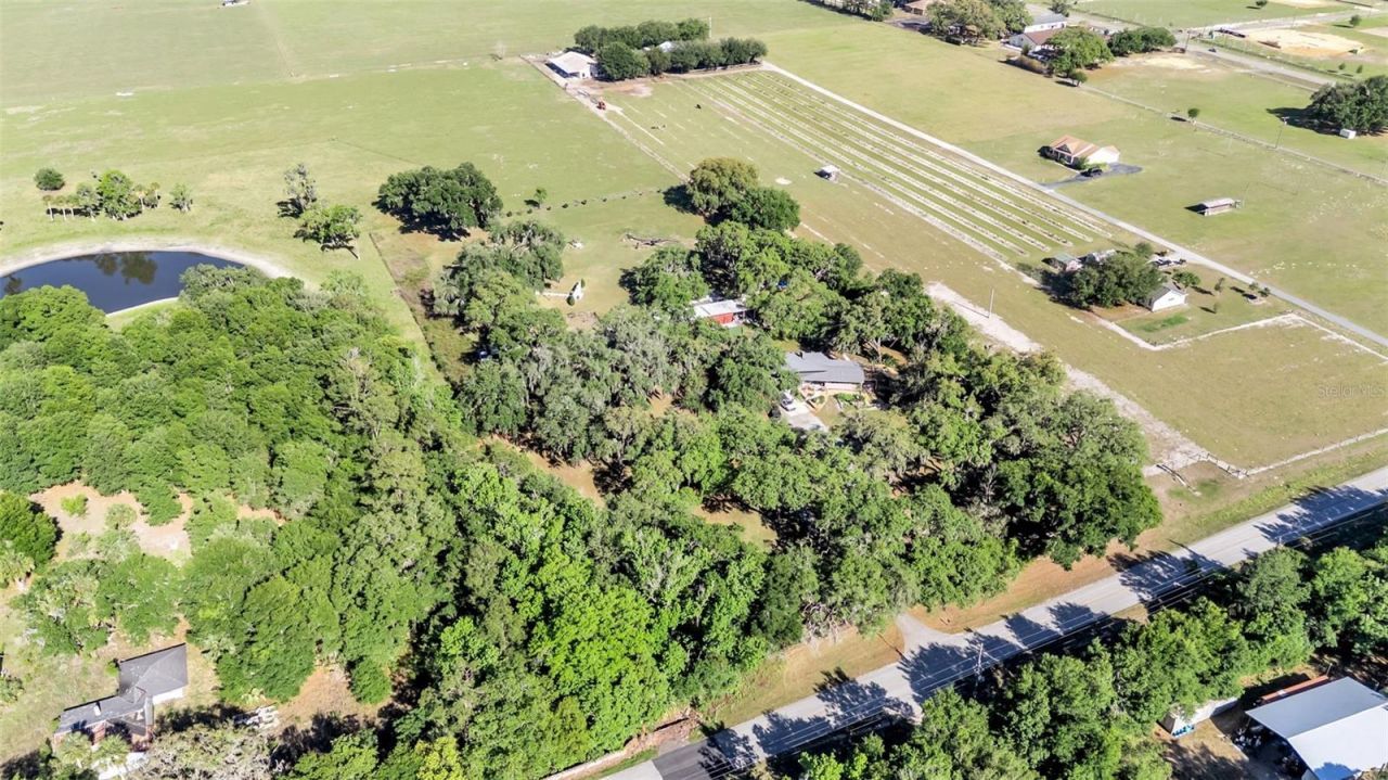 15300 Lake Iola Road, Dade City, FL 33523 Photo