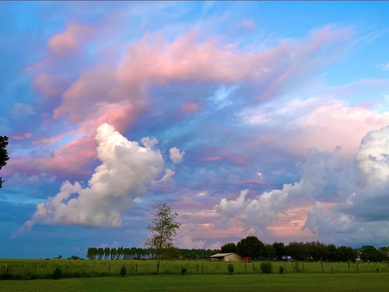 15300 Lake Iola Road, Dade City, FL 33523 Photo