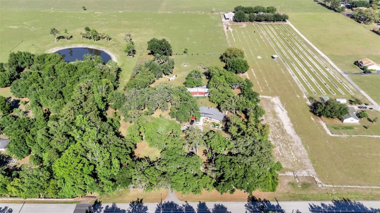 15300 Lake Iola Road, Dade City, FL 33523 Photo