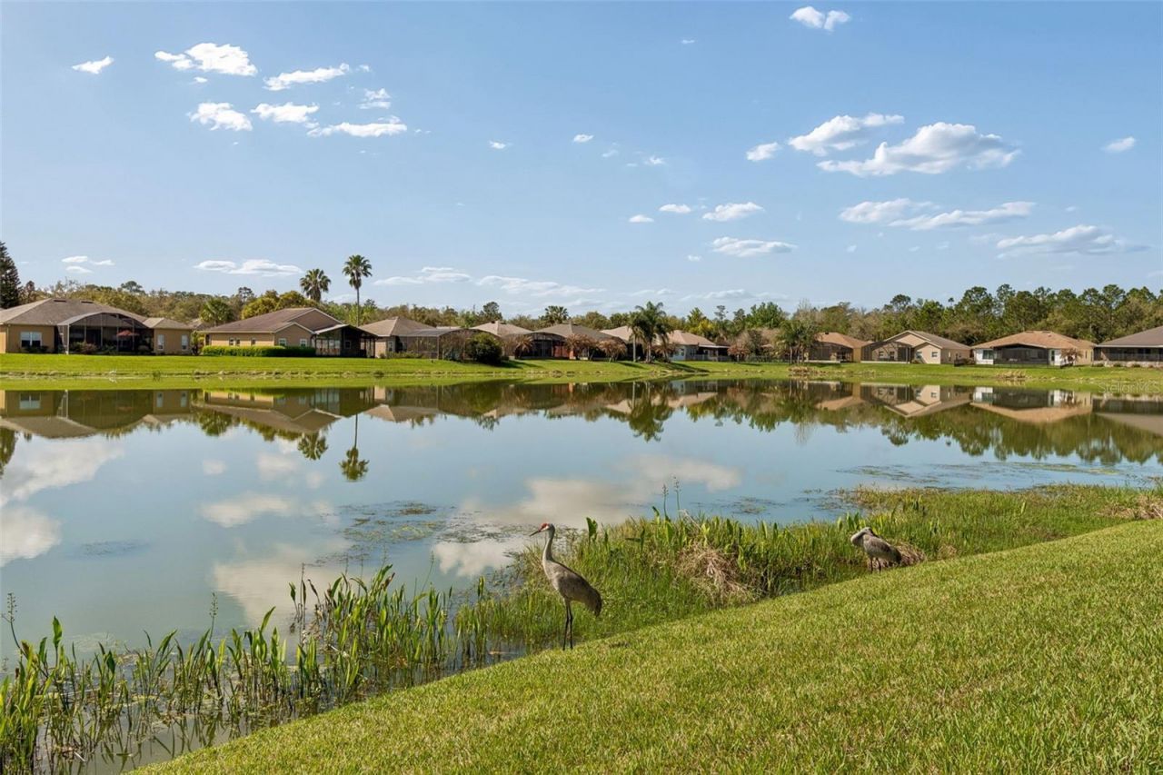 813 Glendora Road, Kissimmee, FL 34759 Photo