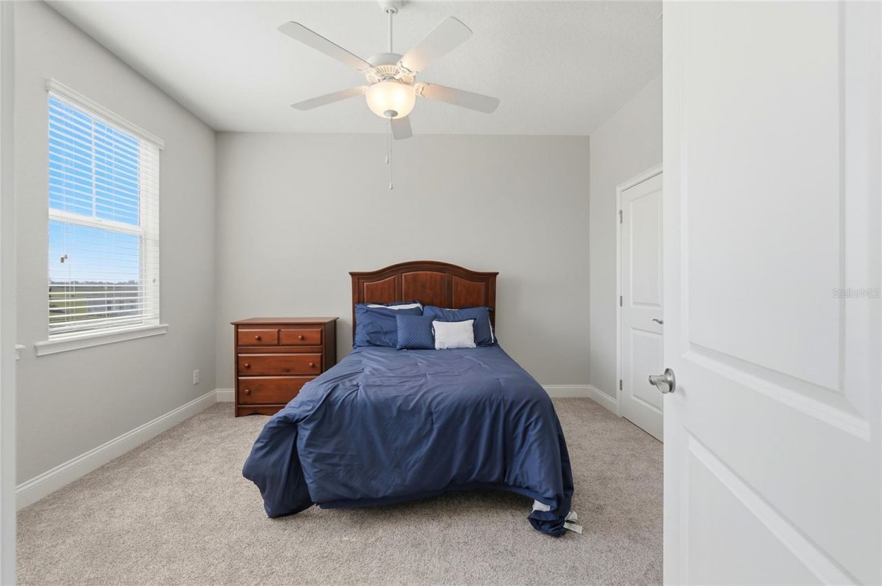 539 Waterfern Trail Drive , Auburndale, FL 33823 Photo