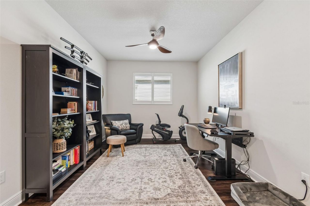 4910 Lakeshore Oaks Court, Tampa, FL 33624 Photo