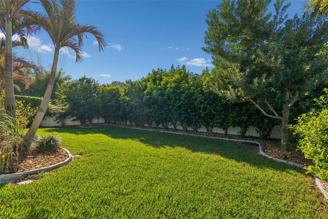 4910 Lakeshore Oaks Court, Tampa, FL 33624 Photo