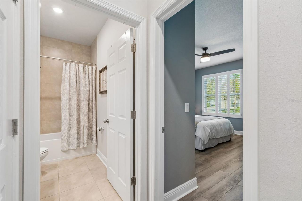 4910 Lakeshore Oaks Court, Tampa, FL 33624 Photo