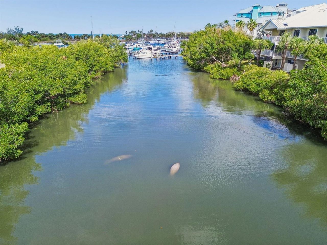 454 Bahia Beach Boulevard, Ruskin, FL 33570 Photo