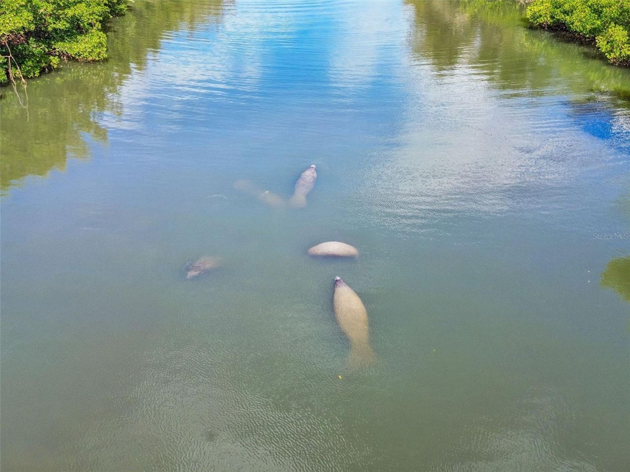 454 Bahia Beach Boulevard, Ruskin, FL 33570 Photo