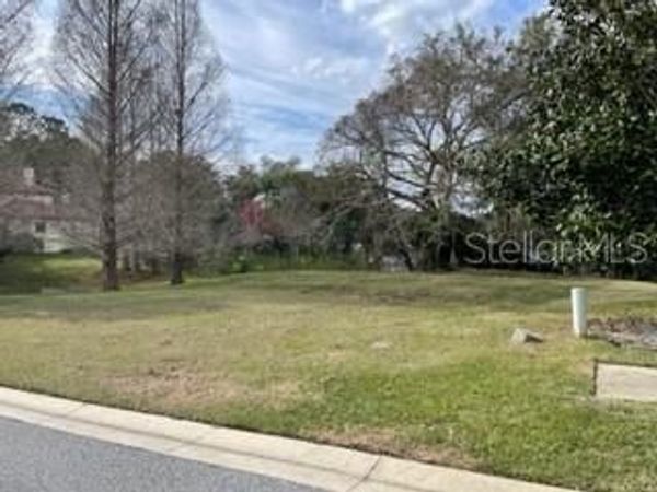 413 W BLUE WATER EDGE DRIVE , EUSTIS, FL 32736