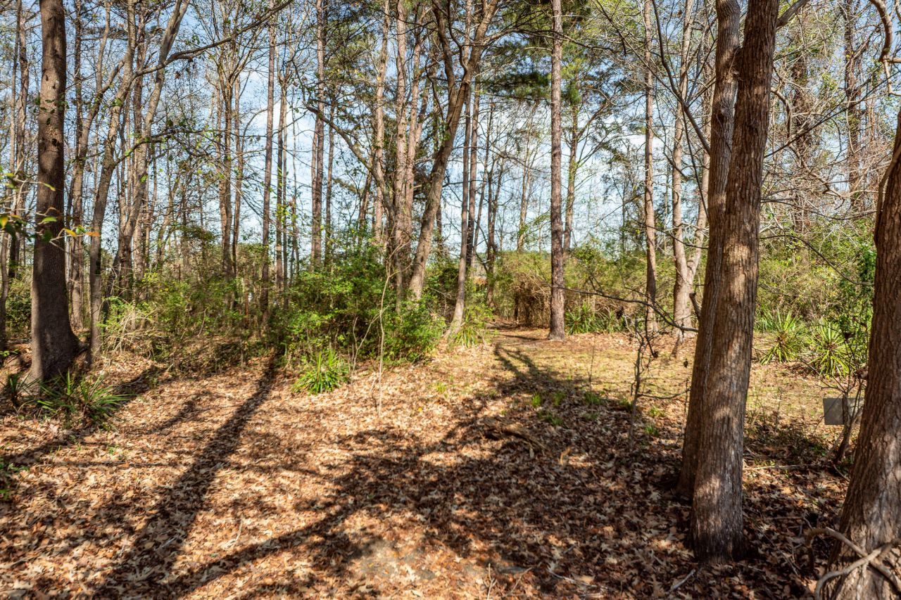 158 Red Cypress Drive Photo 32