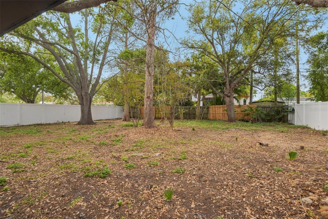 920 43rd Avenue Ne, Saint Petersburg, FL 33703 Photo