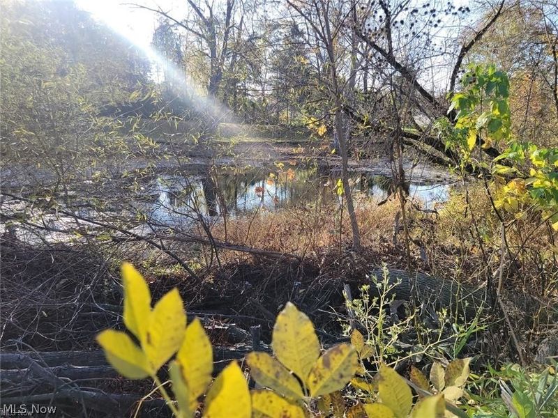 V/L EAST Avenue, Elyria, OH 44035 Photo 1