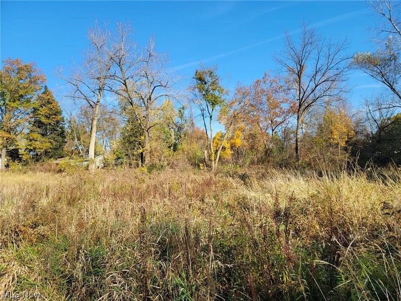 V/L EAST Avenue, Elyria, OH 44035 Photo 2