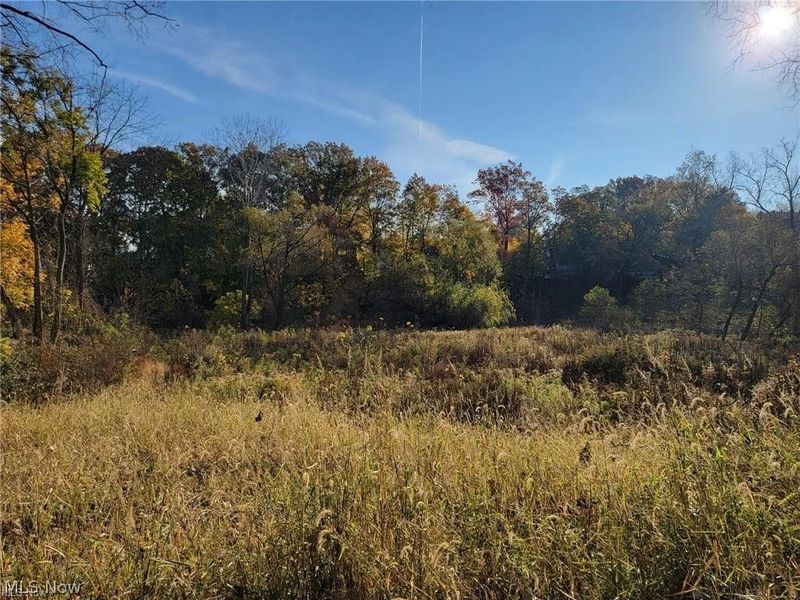 V/L EAST Avenue, Elyria, OH 44035 Photo 3