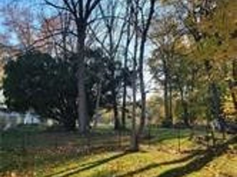 V/L EAST Avenue, Elyria, OH 44035 Photo 7