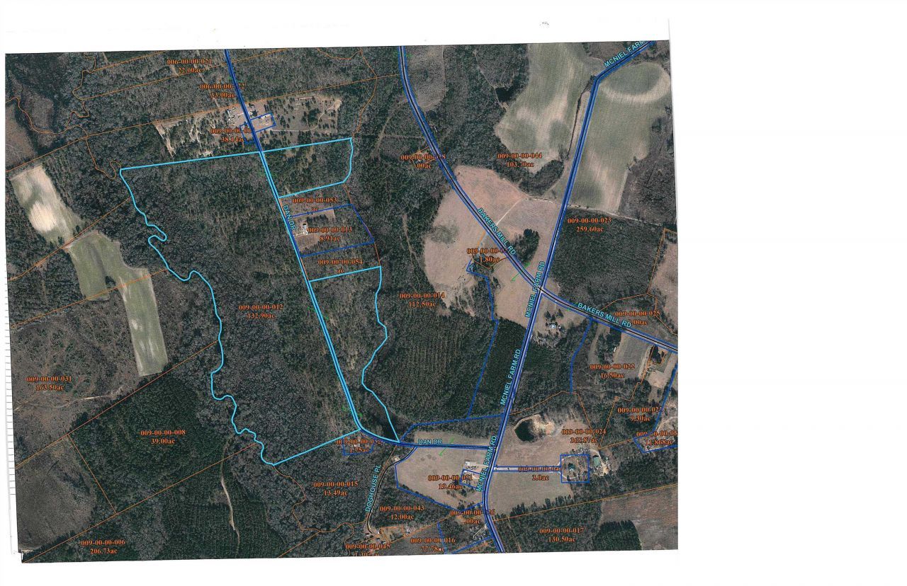 Tbd Dan Dr, Hamer, SC 29547 Main Photo