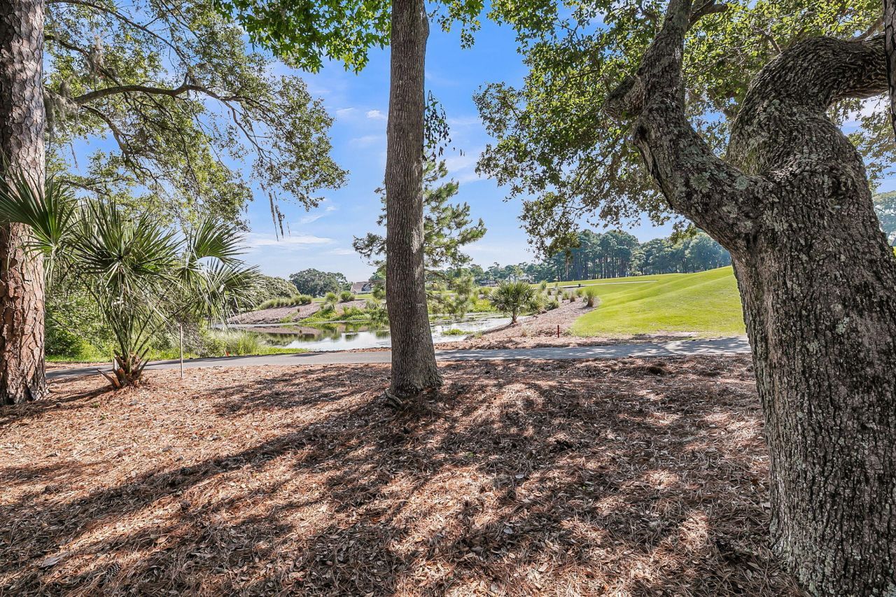 4267 Hope Plantation Drive Photo 46