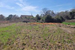 E/s Tremont Avenue photo 4